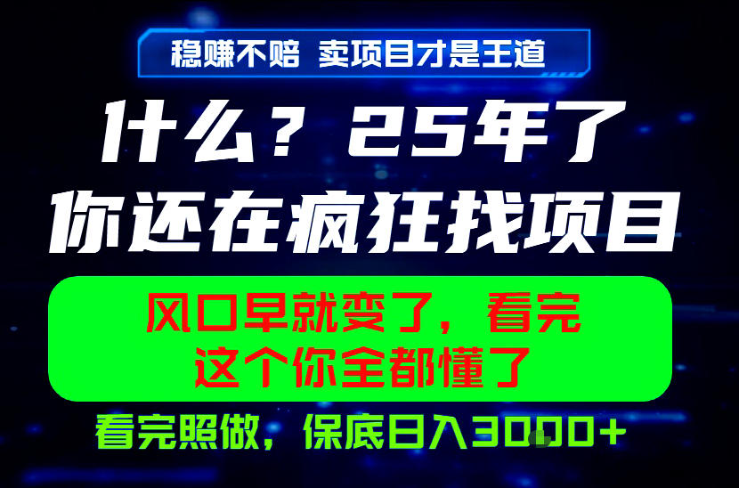 26年,请不要疯狂的找项目做了!卖项目才是真的稳賺不赔,看完照做,保底日入1k+【揭秘】-好运多多