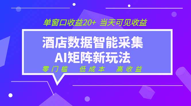 2026酒店数据采集ai智能矩阵新风口  低成本   高收益   当天见收益   单窗口20+-好运多多